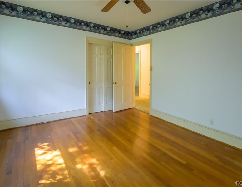 A bedroom with animal theme wallpaper trim
